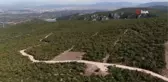 Nilüfer'de sokak hayvanları doğal yaşamına kavuşuyor