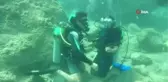 Su üstündeki yunuslardan su altında evlenme teklifi