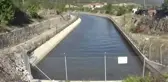 Son dakika haber! Yeşilırmak'ta balık ölümleri görüldü