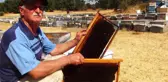 Çam balının merkezinde sıfır rekolte