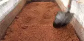 Antalya'nın Toros Dağları'ndan sofralara uzanan şifalı lezzet 