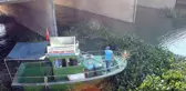 Hatay'da Asi Nehri'ni kaplayan su sümbülleri temizleniyor