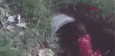 MENFEZDE MAHSUR KALAN KÖPEK VE YAVRUSU KURTARILDI