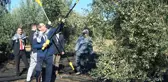 Merhum iş adamının anısına zeytin hasadı yapıldı