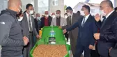 Ceviz fidanı sayısı 100 bine çıkacak, 35 milyon kazanç sağlanacak