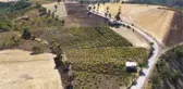 KAHRAMANMARAŞ - Üzümün pekmeze yolculuğu başladı