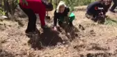 Tunceli'de Tenzile Erdoğan anısına fidan dikimi gerçekleştirildi