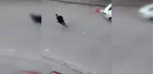 Son dakika haber: Arkadaşını başından vurarak öldüren şahıs tutuklandı