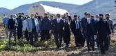 İspir Fasulyesi'nin hasadına başlandı