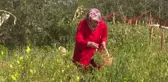Kadın girişimciler, hobi bahçelerinde yetiştirdikleri ürünleri tüketiciye sunuyor