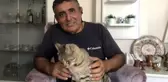 2 PİTBULL, SALDIRDIKLARI KÖPEĞİ ÖLDÜRDÜ, SAHİBİ VE KEDİSİNİ YARALADI