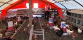 55 yıllık yumurta üreticisinden sıra dışı 'müzikli' yöntem