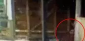 İngiltere kırmızı battaniyeli kızı konuşuyor! Esrarengiz fotoğraf yetkilileri harekete geçirdi