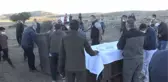 Yaban koyunlarında yarım asırlık emeğin meyveleri alınıyor