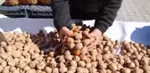 Yeni mahsul Kaman cevizi tezgahlardaki yerini aldı