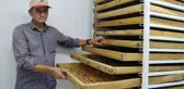 Arkadaş tavsiyesiyle ektiği 'goji berry' meyvesini, kilosu 100 liradan Avrupa'ya ihraç ediyor