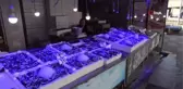 Karadeniz'de hamsi fiyatları 10 TL'ye geriledi