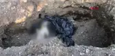 Son dakika haber! GİRESUN'DA ÇUKURDA 10 ÖLÜ KÖPEK BULUNDU