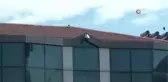 Gurbetçiler memleket özlemlerini böyle gideriyor
