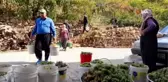 Toroslarda son pekmez kazanları kaynadı