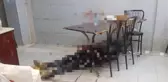 Lokantada kanlı infaz! Husumetlisini yemek yediği sırada öldürdü