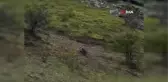 Yolda karşılaştığı ayıya: 