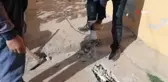Atık borusuna sıkışan yavru kedi böyle kurtarıldı
