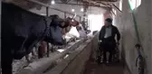 20 yıldır yürüyemeyen kazazede yeniden adım atmaya başladı