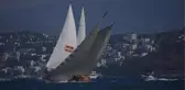 'Bodrum Cup' heyecanı başladı; yelkenler yangında zarar gören bölgelere açıldı (2)
