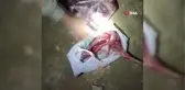 Projektörle kaçak tavşan avı yapanları yerdeki kan izleri yakalattı