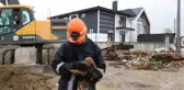 5 metrelik kuyuya düşen köpek iş makinesi yardımıyla kurtarıldı