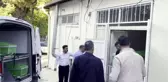 Son dakika haberi! GAZİANTEP - Kilis'te eşi tarafından darbedilen kadın hayatını kaybetti