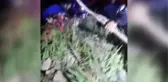 Uçuruma yuvarlanan kişi jandarma ve AFAD ekiplerince kurtarıldı