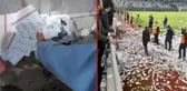 Ordu'daki konfeti skandalında gözaltına alınan taraftarlardan 3'ü serbest, 1'i karantinada