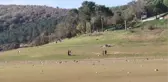 BALIKLARIN YÜZDÜĞÜ ALANDA ZİYARETÇİLER YÜRÜYOR