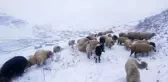 Bayburt'un yüksek kesimleri beyaza büründü