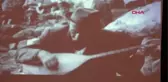 DOĞUMUNUN 127'İNCİ YILI ANISINA AŞIK VEYSEL KONSERİ