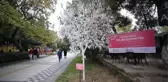 KIRKLARELİ - Meme kanserine 
