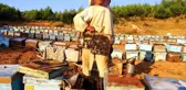 TAB Başkanı Ziya Şahin: 