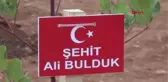 KOZAN'DA ŞEHİTLER İÇİN FİDAN DİKİLDİ