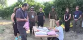 Antalya'da halkalanan kuşların İskandinavya'ya kadar göç ettiği tespit edildi
