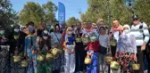 Ayvalık'ta zeytin festivali kapsamında ilk hasat