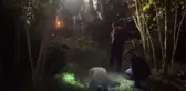 Çukura düşen inek, kepçe yardımıyla kurtarıldı