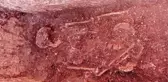 PERRE ANTİK KENT'İNDEKİ KAZILARDA 1500 YILLIK İNSAN İSKELETİNE RASTLANDI