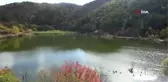 Kalkan Göleti en yüksek seviyesine ulaştı