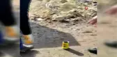 Kafası teneke kutuya sıkışan kediyi İlçe Orman Şefliği ekipleri kurtardı