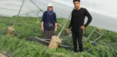 SİLİFKE'DEKİ HORTUMDA SERALAR DA ZARAR GÖRDÜ