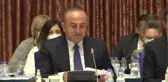 Çavuşoğlu: 