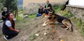 Vefalı köpek, ölen sahibinin mezarı başından bir an olsun ayrılmıyor