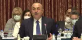 Çavuşoğlu: 